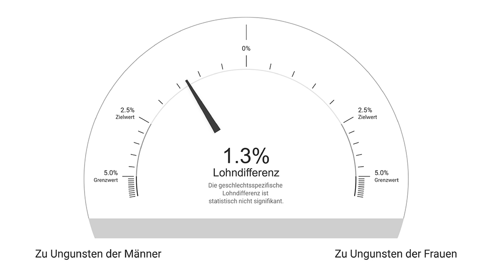 Lohngleichheitsanalyse